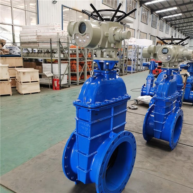 電動閘閥Z941h -64 DN500（石化行業、煉油廠、化工廠）