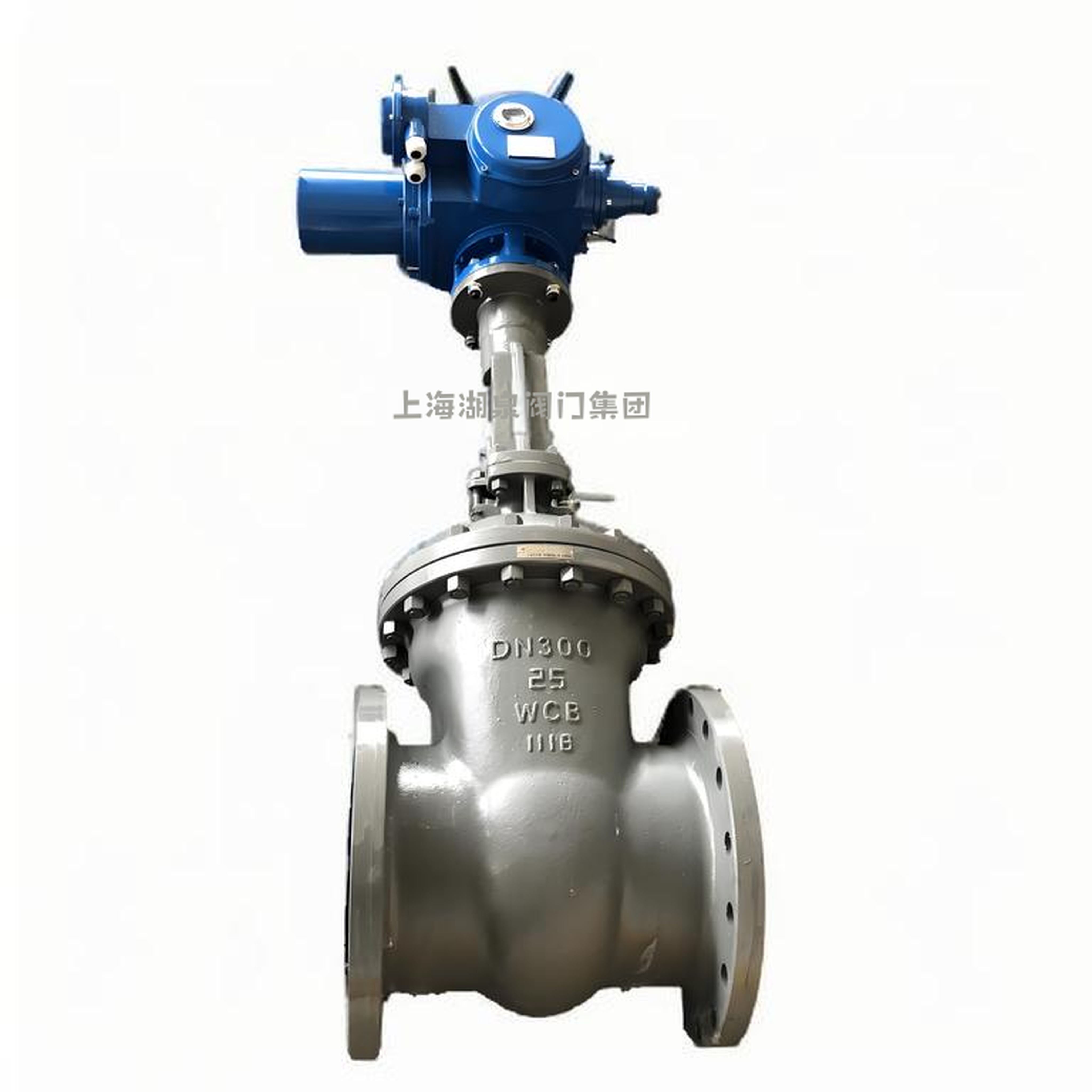 電動大口徑鑄鋼閘閥dn900